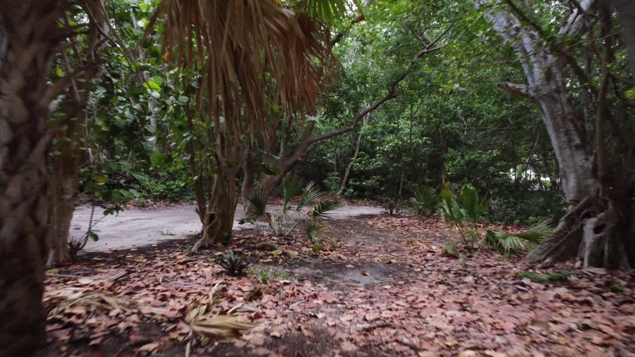 땅에 마른 잎이 있는 공원의 나무 사이를 날아다니는 낮은 비행 드론