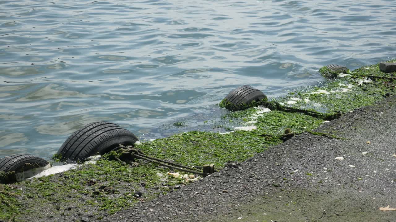 Pier with Tires and Seaweed