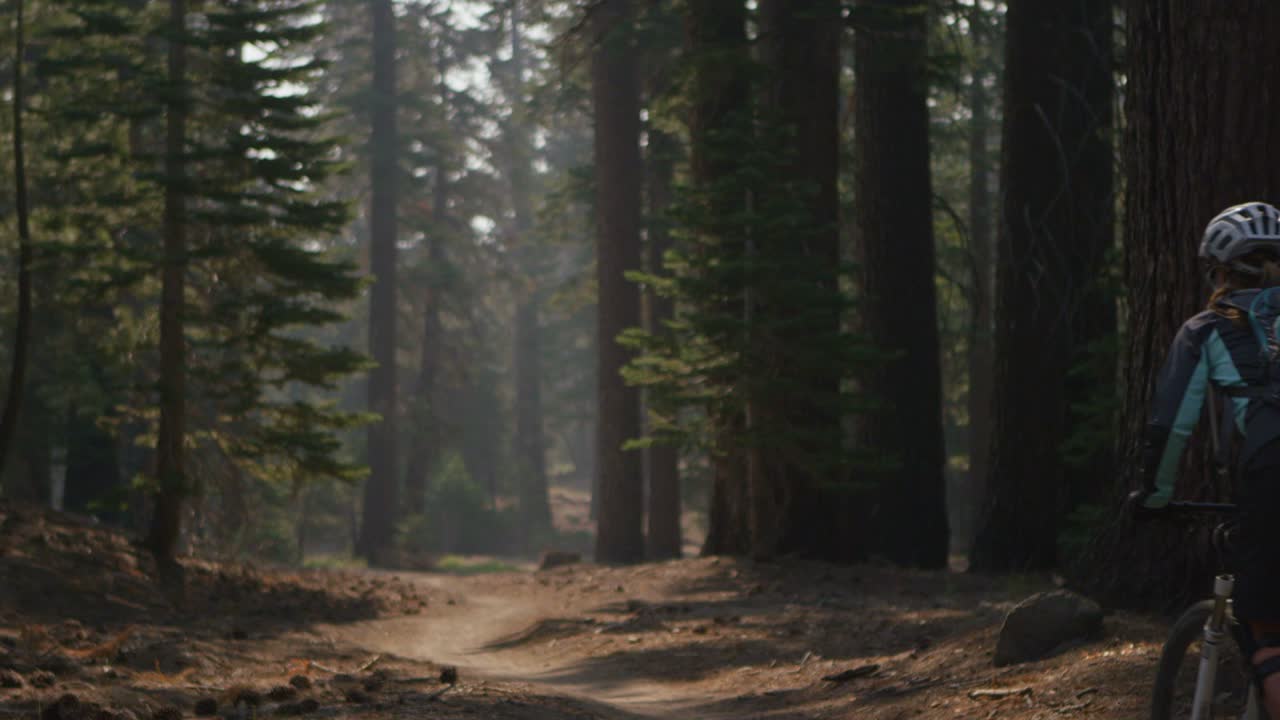 un ciclista de montaña monta en un bosque 4