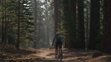 Un-Ciclista-De-Montaña-Cabalga-En-Un-Bosque-4