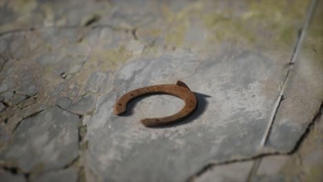 one old rusty metal horseshoe