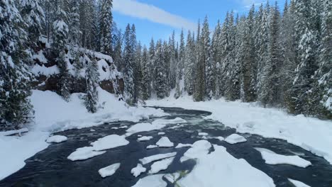 stream flowing through snowy forest 4k