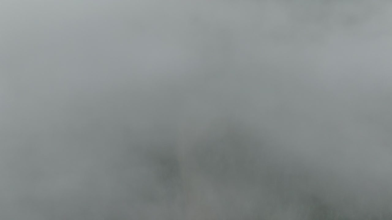 산과 숲 나무에 걸려 낮은 안개의 공중 -5