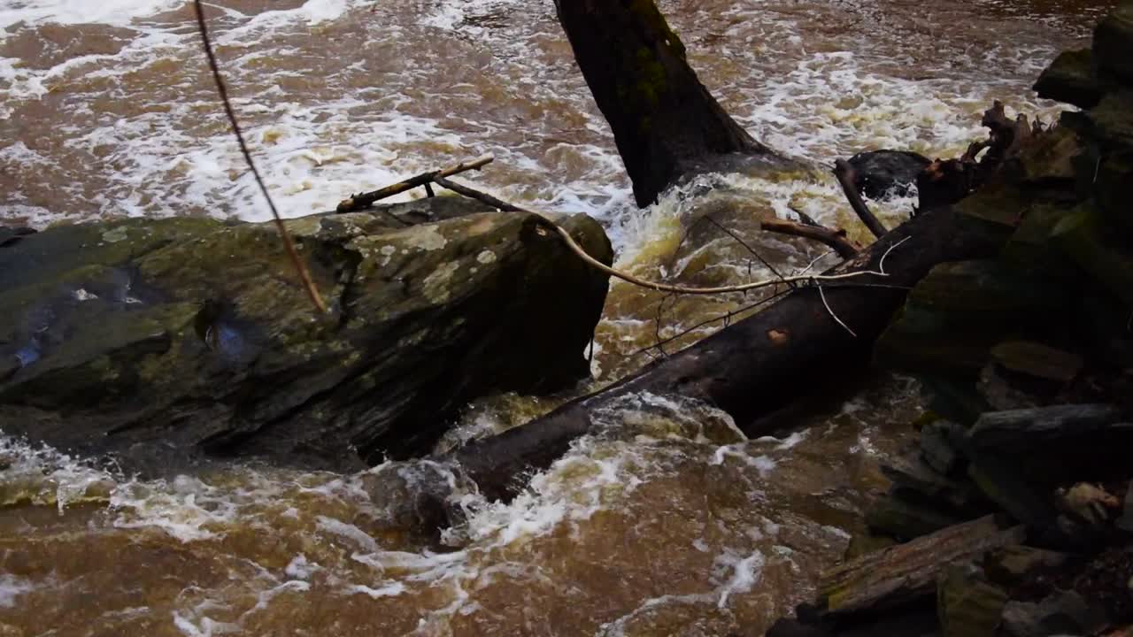 Water flooding and rushing over a tree into a creek
