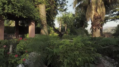 eagle statue stands in a traditional spanish garden