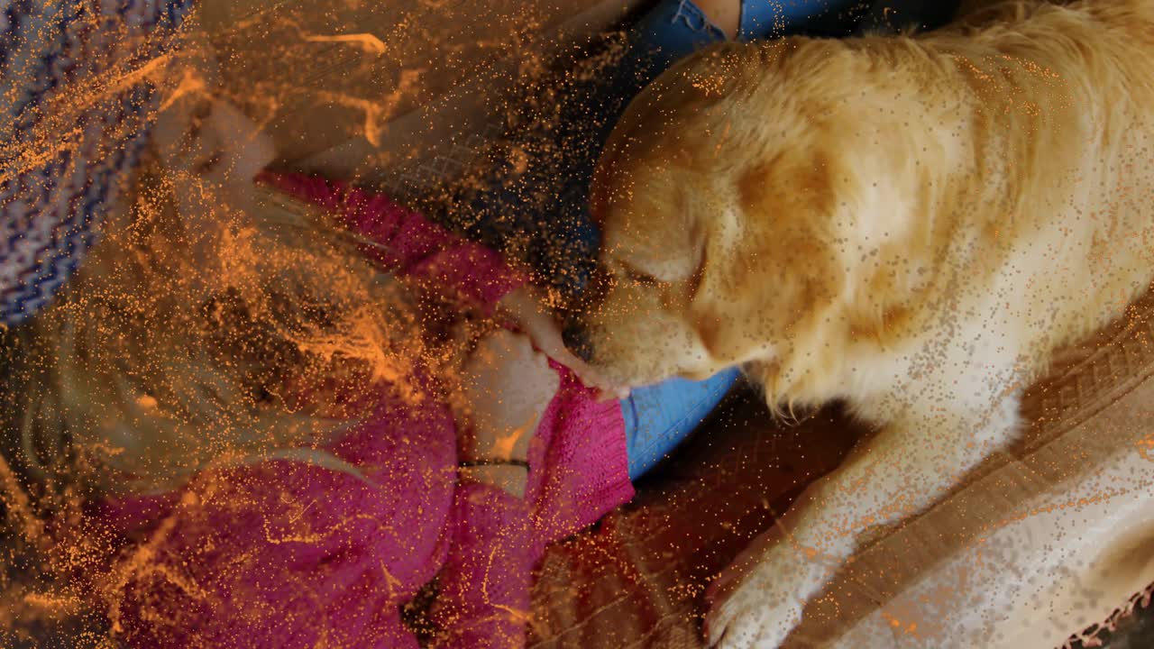 Goldenes Partikel-Overlay initiiert Tierpflege, während eine Frau die Hundeschnauze für liebevolle Gesellschaft berührt.