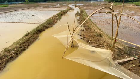 rural-landscape-in-Bangladesh-featuring-a-small-river-or-canal-surrounded-by-wetlands,-where-farmers-use-traditional-fishing-nets-to-catch-fish