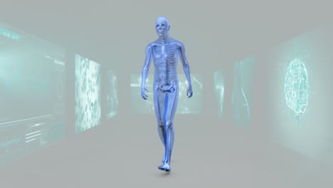 animation of walking 3d man and rotating with scientist screen