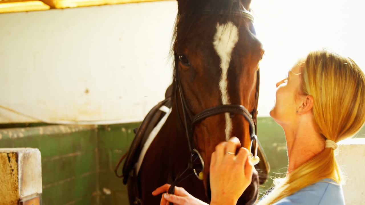 el veterinario acaricia al caballo 4k