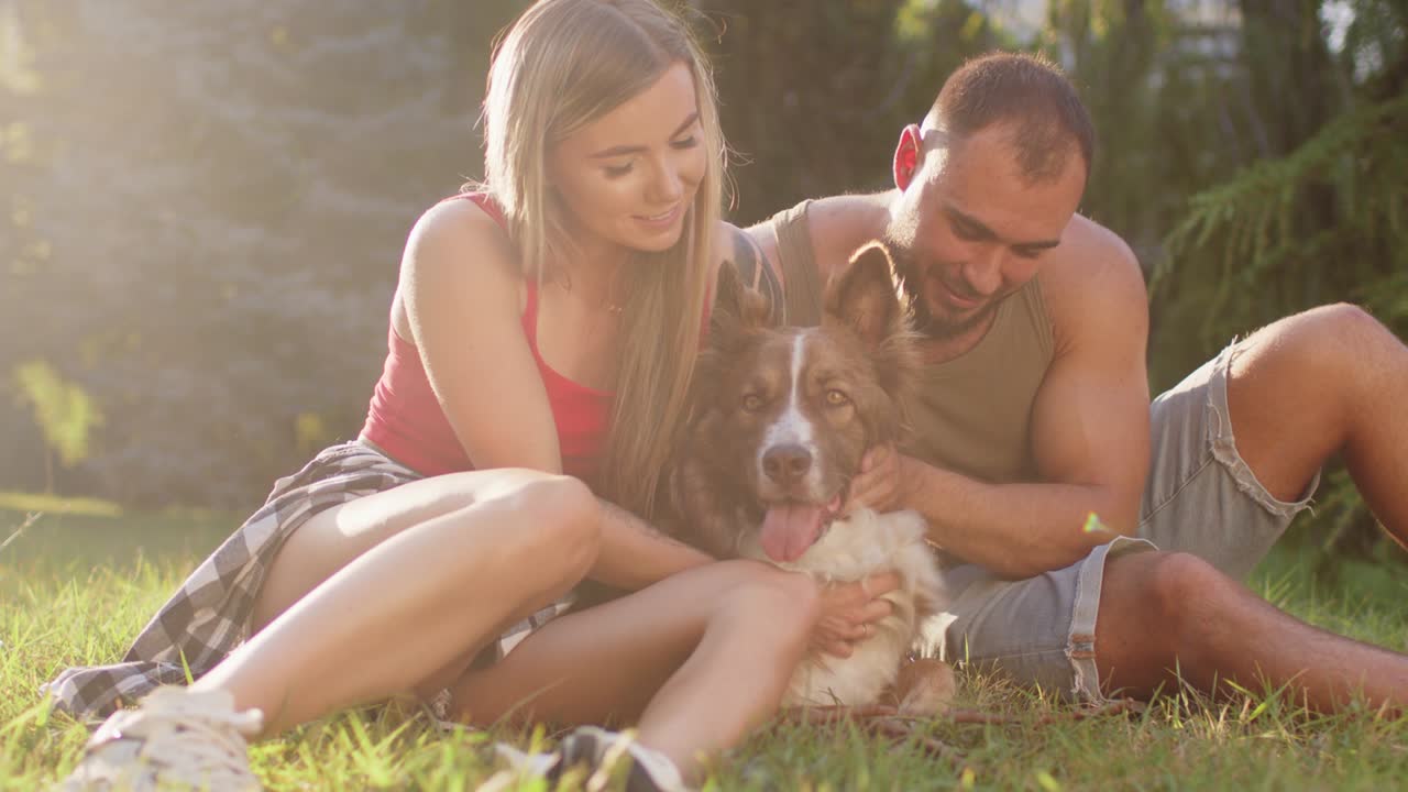 젊은 부부는 잔디에 공원에서 앉아서 이 있는 여름날에 개를 키우고 있다.