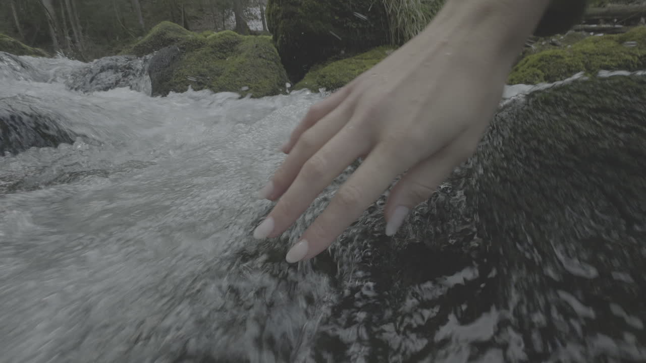 Hand in a Mountain Stream