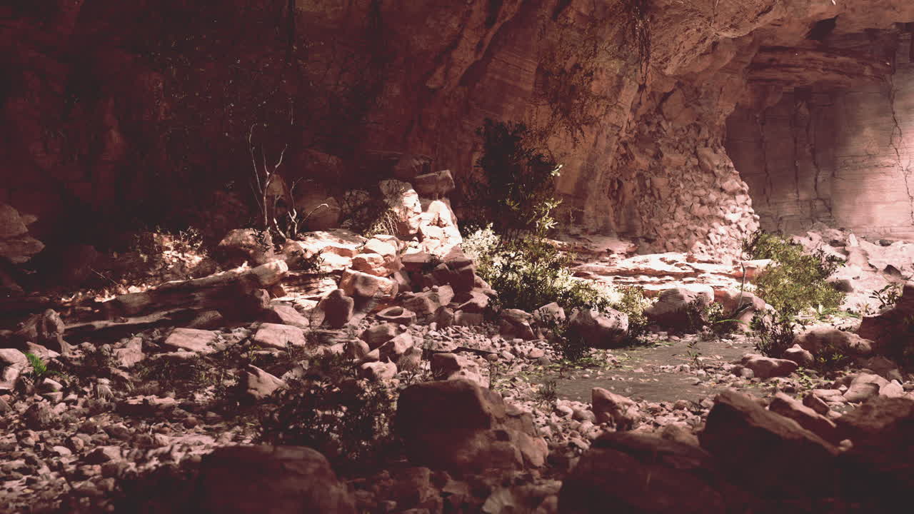 vista desde el interior de una cueva oscura