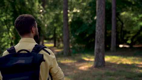 hiker man with backpack walks along a forest trail looking at a map. view from behind.