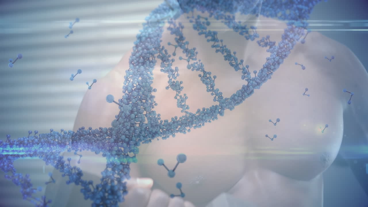 Animazione di un'elica di DNA su un uomo forte che si allena in palestra.