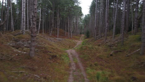 Disparo-Aéreo-Rápido-De-Un-Dron-Volando-Por-Un-Sendero-De-Bosque-De-Pinos-Durante-El-Día-En-El-Reino-Unido