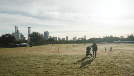 Mother-walks-through-green-grassy-city-park-with-stroller-for-her-baby-and-dogs