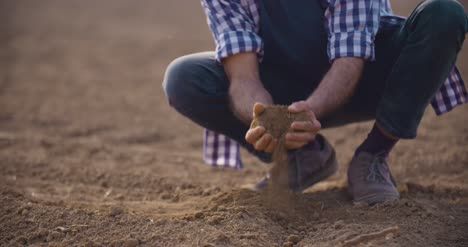 mani che esaminano il suolo in campo agricolo 8