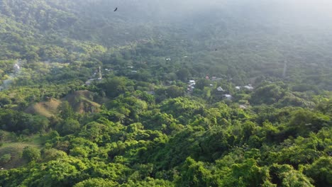 Drone-flight-over-deep-lush-amazon-Rainforest-with-flying-birds