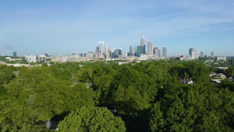 charlotte skyline revealed behind green treetops on windy day