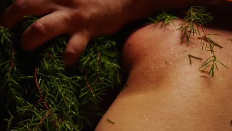 human hand touching wet skin with pine branches