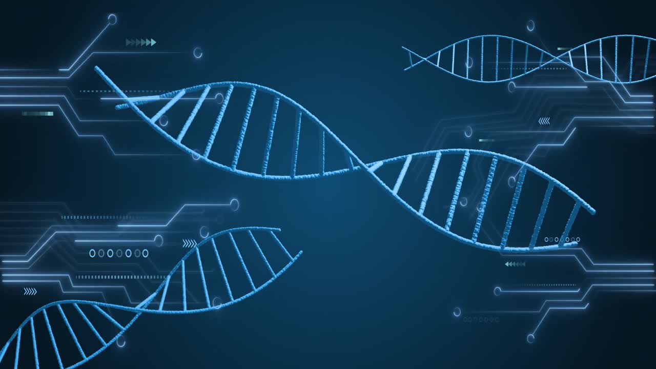 Animazione di strutture di DNA rotanti e connessioni di microprocessori su sfondo blu