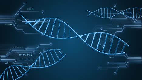 animación de estructuras de adn giratorias y conexiones de microprocesadores contra un fondo azul