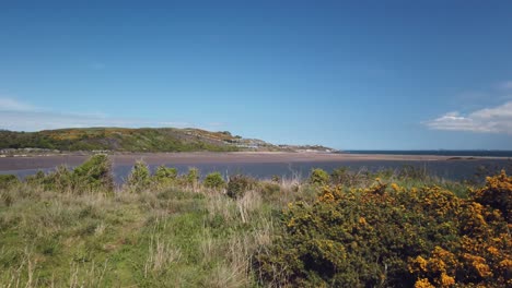 Schottische-Bucht-Von-Einem-Hügel-Aus-Mit-Gras-Und-Ginster-Im-Wald-Und-Wohnwagen,-Tankern-Und-Einer-Stadt-Im-Hintergrund