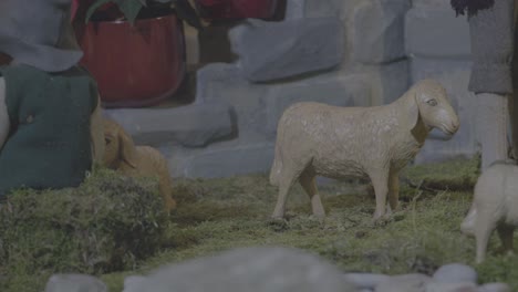 sheep on the way to the christ child in a nativity scene