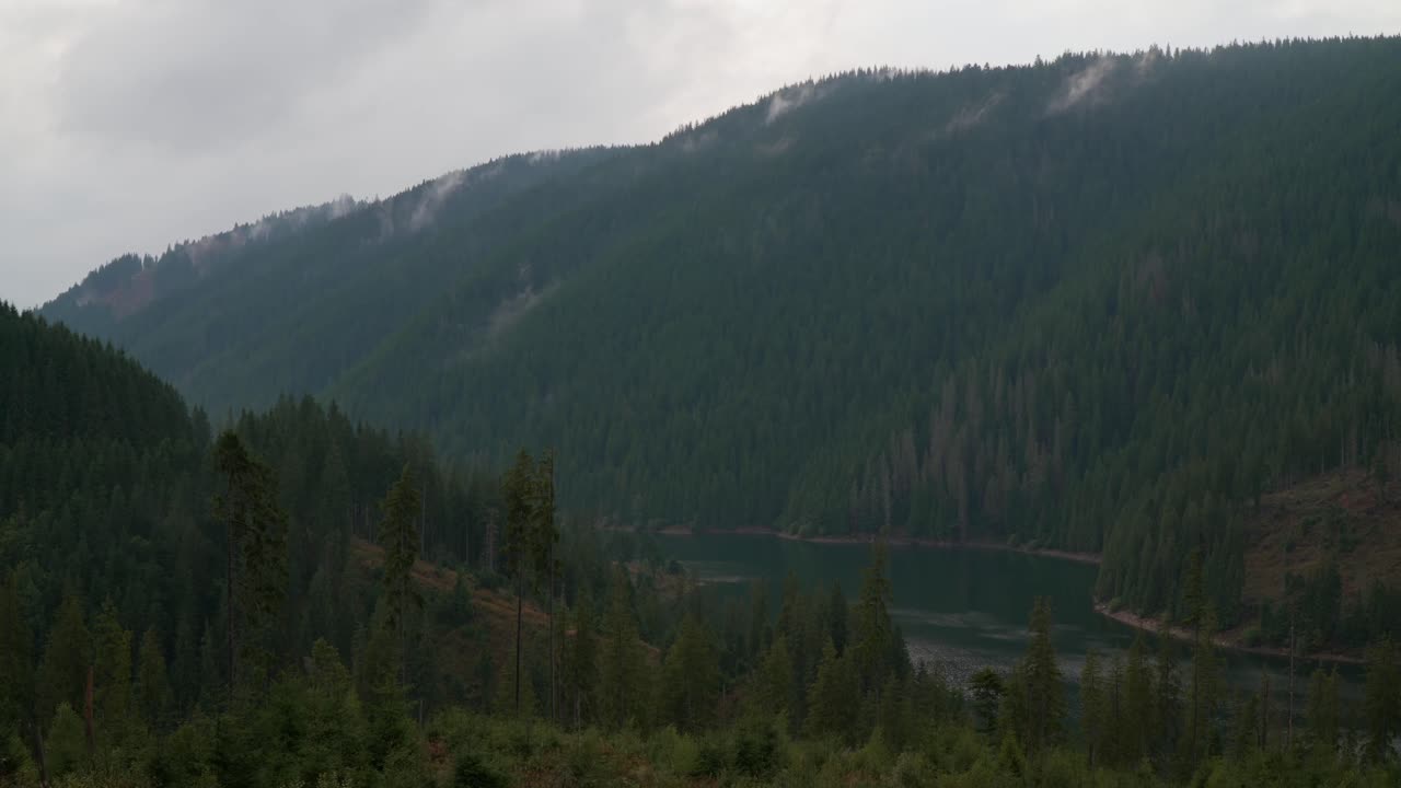 Time-lapse view of Beliș-Fântânele Lake in Romania, where mist and evaporation drift over pine-covered mountains under an overcast sky, revealing the calm rhythm of a remote landscape