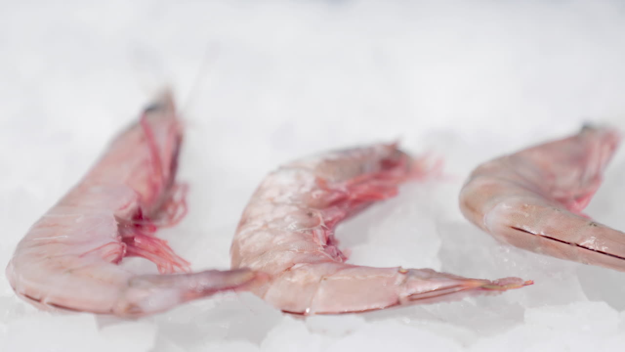 tres piezas de gambas sobre hielo picado