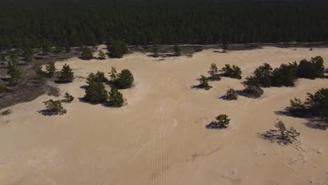 Aerial-Escape:-Drone-Captures-Serene-Beach-and-Enchanting-Forest-in-Hiiumaa-Island---4K-Footage