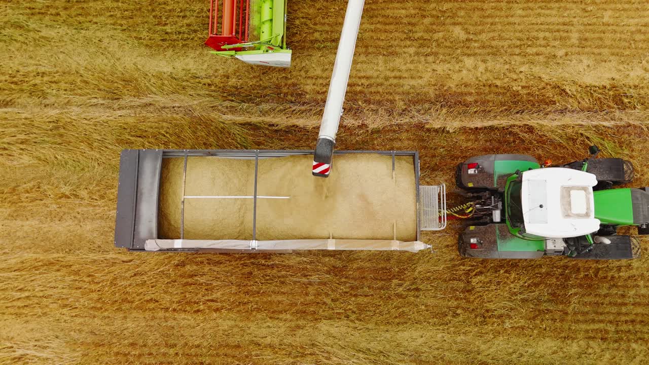 Veduta aerea di una mietitrebbia che scarica il grano in un rimorchio agricolo