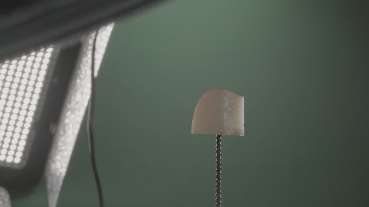 크로마 키를 위해 녹색 화면에 루프와 함께 회전하는 진주