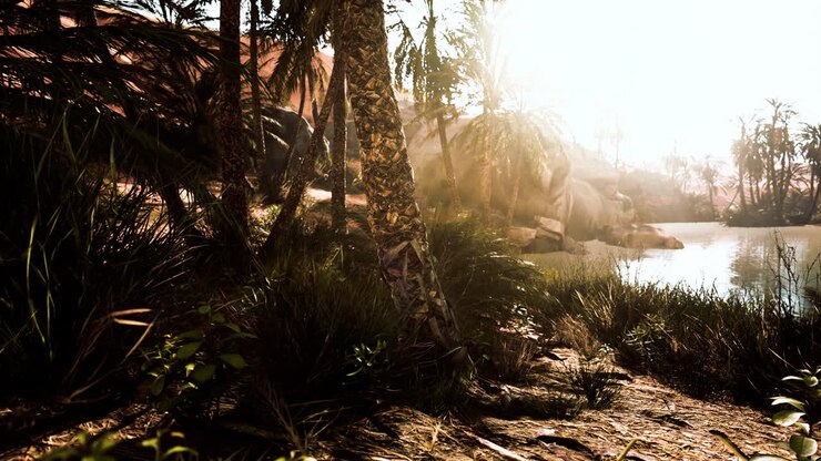 The Palms Oasis trail is one of many popular hikes in National Park