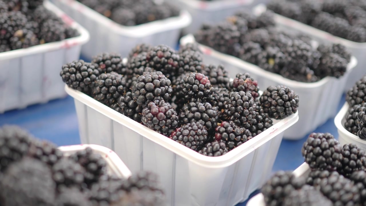 More fresche in contenitori di plastica in un mercato contadino