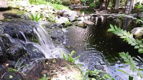 calm waterfall flowing into a peaceful pond