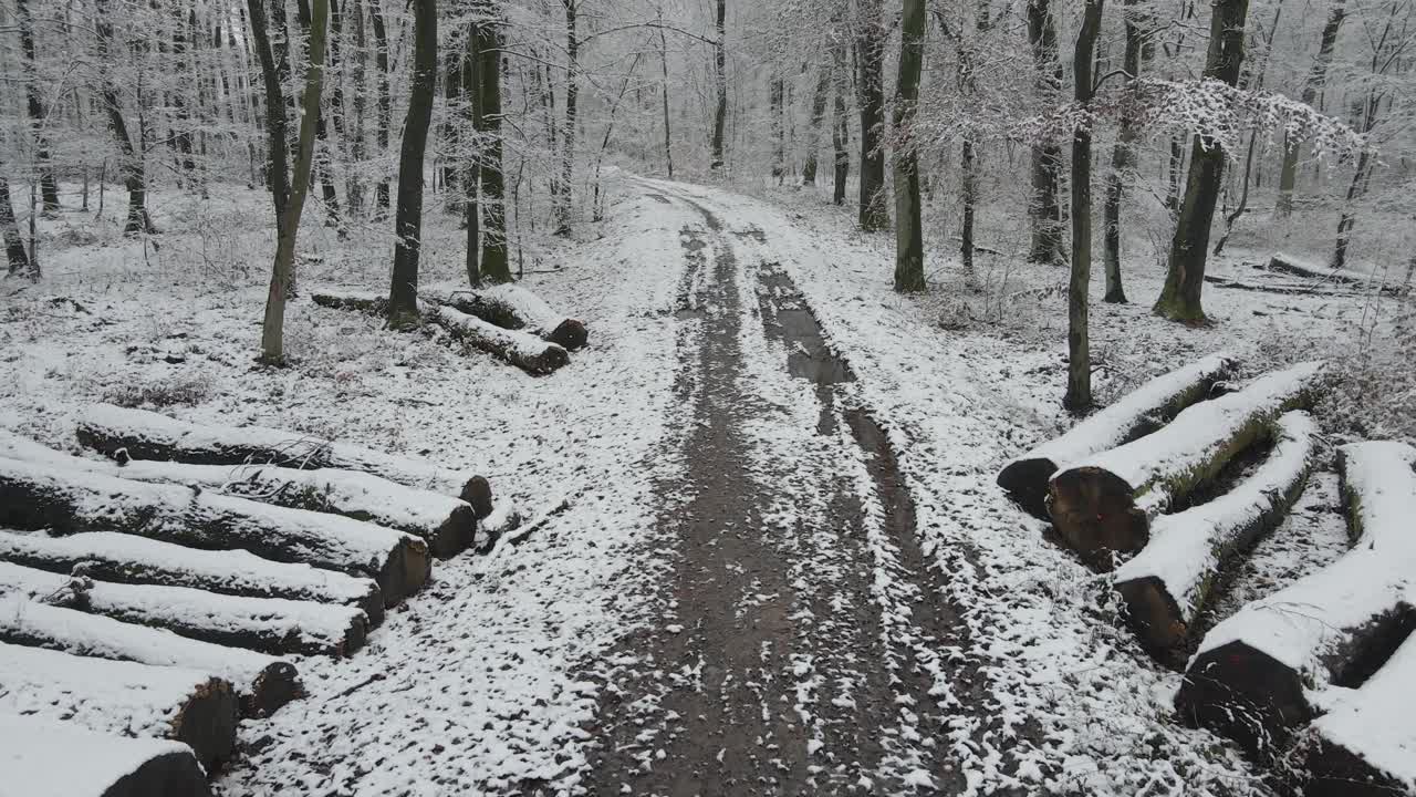 Totally snowy winter forest. Snowy road or trail. Mysterious cinematic shot.