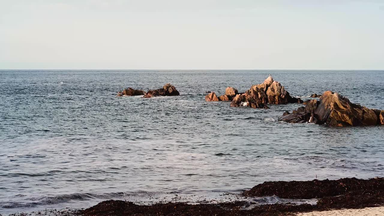 Vista sulle onde che si infrangono sugli scogli vicino alla costa, con alghe che si riversano sulla spiaggia sabbiosa al sole del tardo pomeriggio