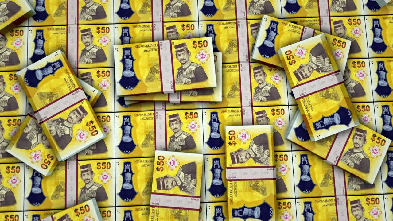 브루나이 달러 지폐 표면 애니메이션