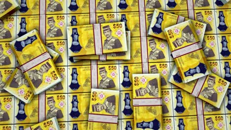 billetes de dinero de dólar de brunei paquetes de superficie de animación