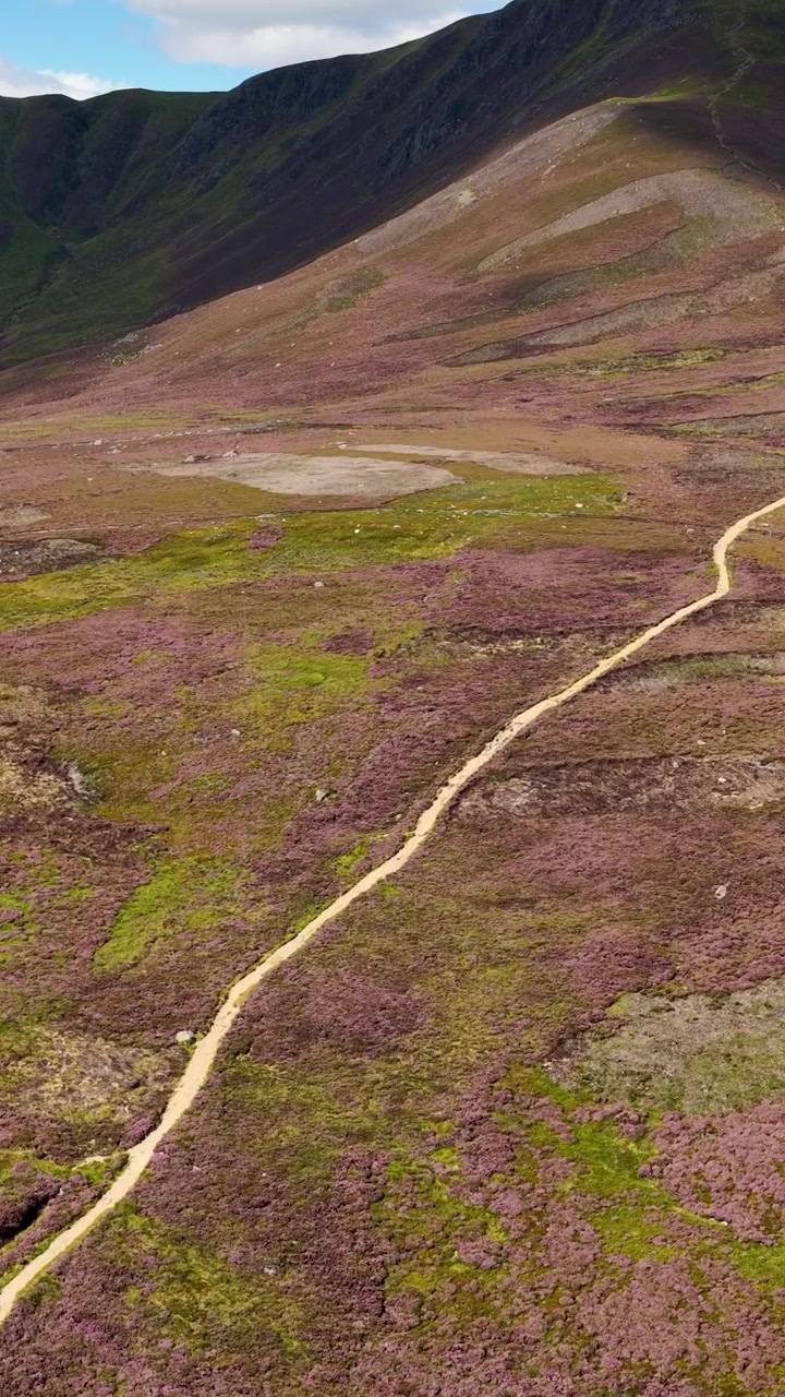 Drone che sorvola una pittoresca valle delle Highlands scozzesi, rivelando un sentiero tortuoso, erica e montagne aspre