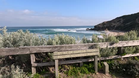 olas oceánicas y vegetación costera en la pista de coppins