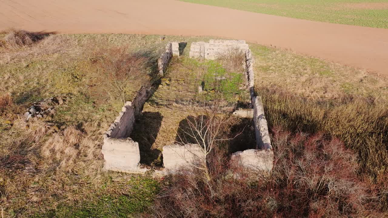 Weathered homestead ruins emerge from golden fields in rural Northern Latvia
