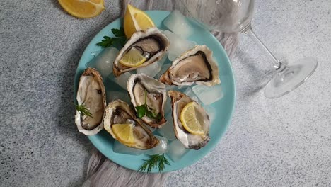 fresh oysters pieces lemon ice slow motion