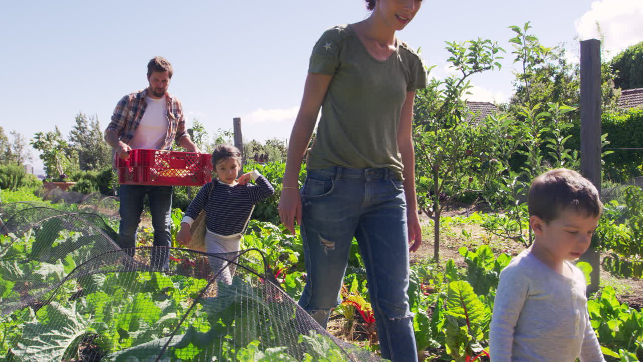 Premium stock video - Family working on community allotment together
