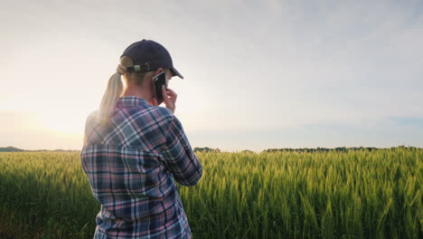 a female farmer is talking on the phone near a wheat field