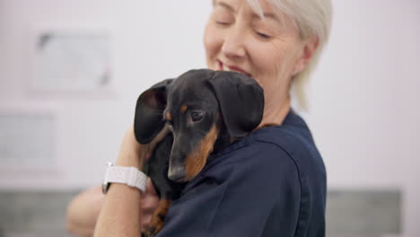 Abrazo,-Sonrisa-Y-Cachorro-Con-Una-Anciana-Veterinaria