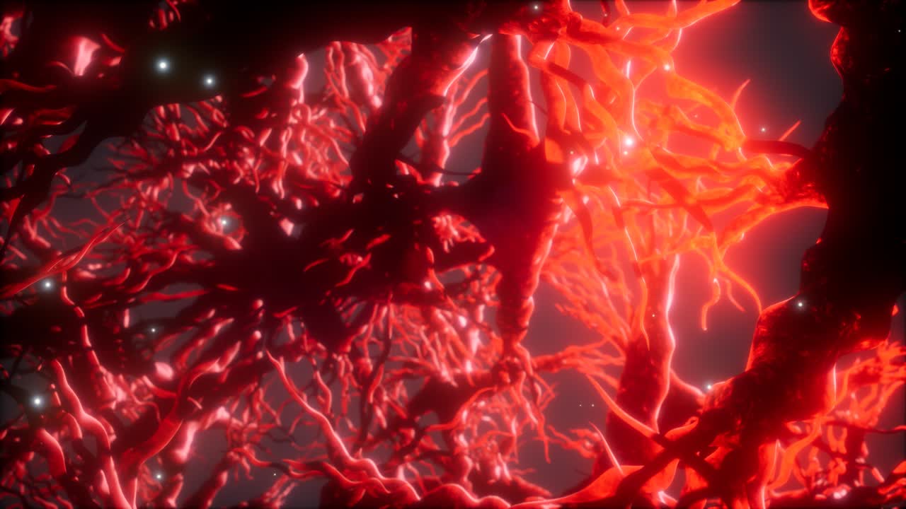 뇌 안의 신경 세포 네트워크를 통해 여행합니다.