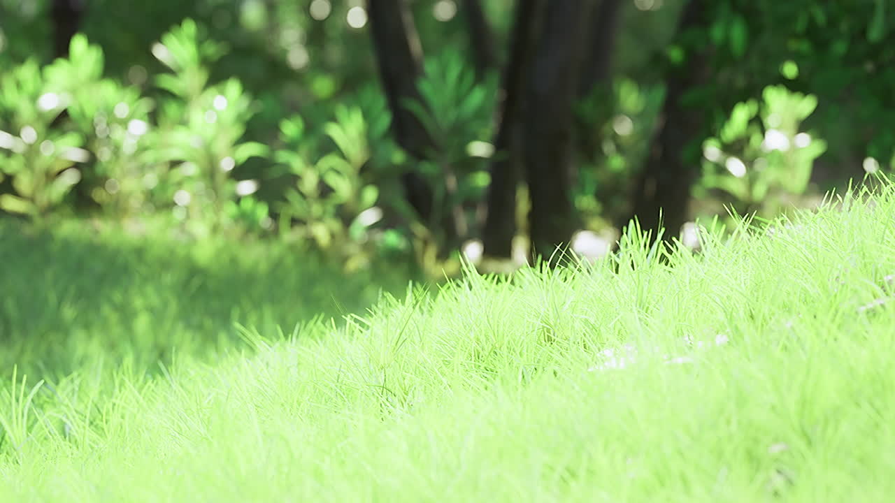 Bright green grass sways gently in the sunlight on a serene summer afternoon