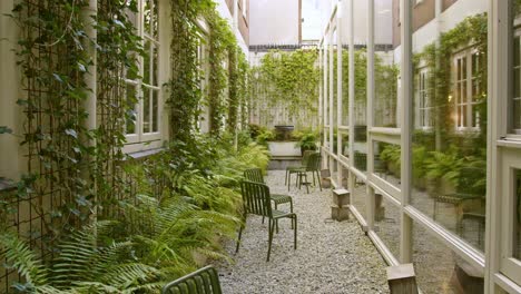 an alley with a garden full of growing green ferns in amsterdam, netherlands